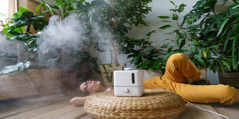 Humidifier and purifier in same room discount